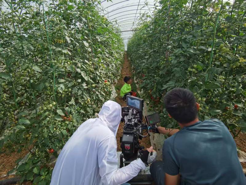 开阳县产品宣传视频拍摄公司进阶指南，助力品牌抢占传播高地